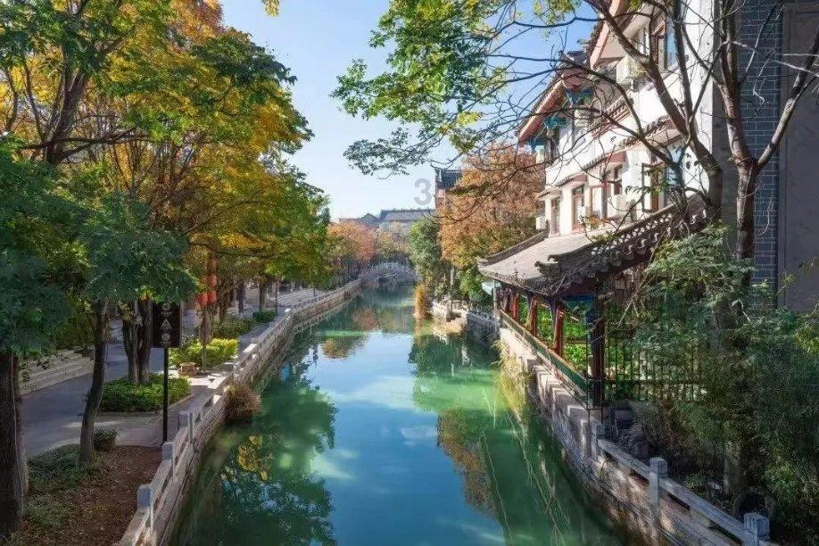 救援蓝鸦